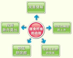 [饮料技术]膳食纤维功能饮料的研发