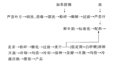 麦芽芦荟乳酸饮料的配方研制