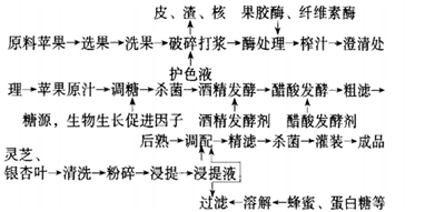 灵芝苹果醋酸发酵饮料的配方研究