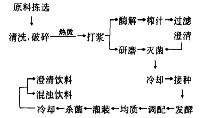 乳酸菌发酵果蔬汁饮料的研究