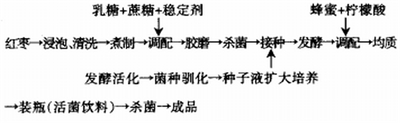 红枣乳酸发酵饮料的加工工艺流程