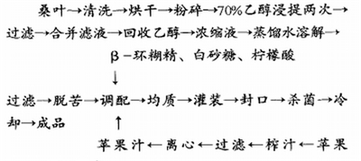 桑叶复合保健饮料的工艺流程研制