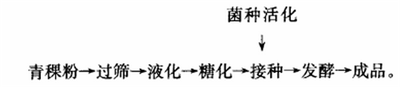 乳酸菌发酵青稞饮料配方的研制