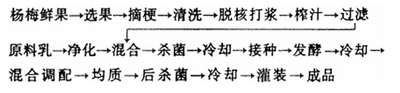 杨梅乳酸菌饮料的配方和工艺流程