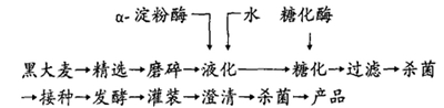 黑大麦乳酸菌饮料配方的工艺流程