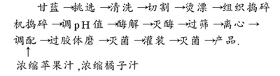 甘蓝复合果蔬汁饮料配方的工艺流程