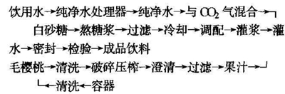 毛樱桃汁碳酸饮料配方的生产工艺研究