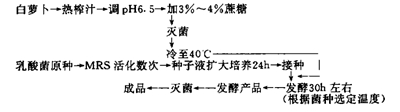 萝卜汁乳酸发酵饮料配方的研究