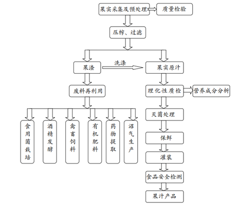 构树果汁饮料配方及加工工艺