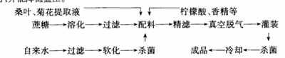 桑菊汁饮料配方的研制