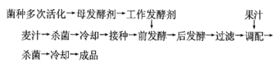 果味型麦芽汁乳酸菌饮料配方的研制