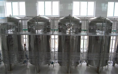 复合果汁发酵醋酸饮料配方工艺探讨