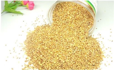 茉莉花苦荞茶饮料加工工艺研究