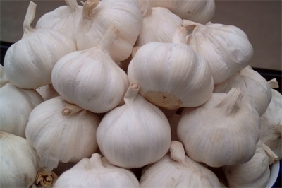 大蒜茶饮料的关键技术研究与工艺优化