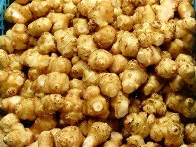 菊芋花茶饮料的工艺研究