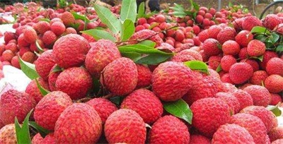 荔枝果汁饮料碳酸化处理的工艺参数优化