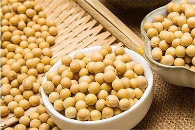 大豆、胡萝卜复合固体饮料加工工艺的研究