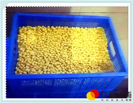 脱脂松籽乳饮料配方工艺的研发