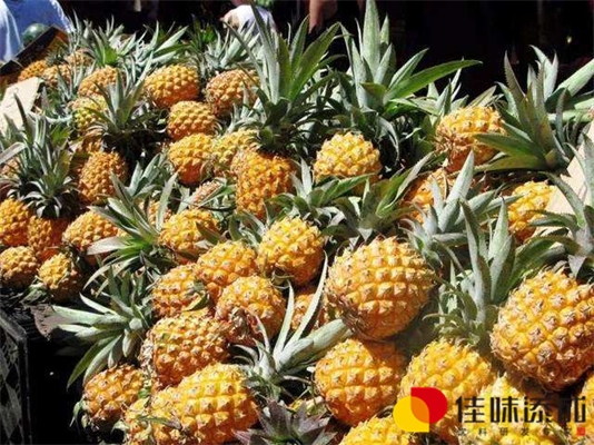 松子乳饮料配方研发的稳定性试验研究与生产