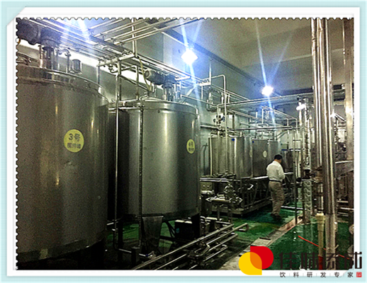 豆奶发酵饮料配方技术的研发 豆奶发酵饮料配方技术的研发