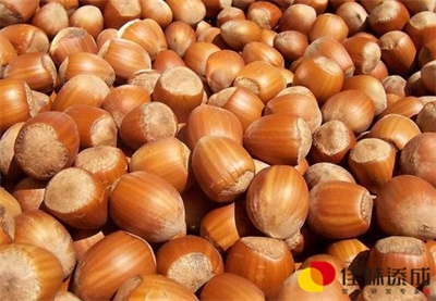 黑豆多肽制备及其功能乳饮料配方的开发研究