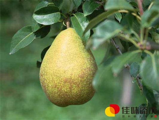 含酒精乳制品饮料配方中的稳定性研究