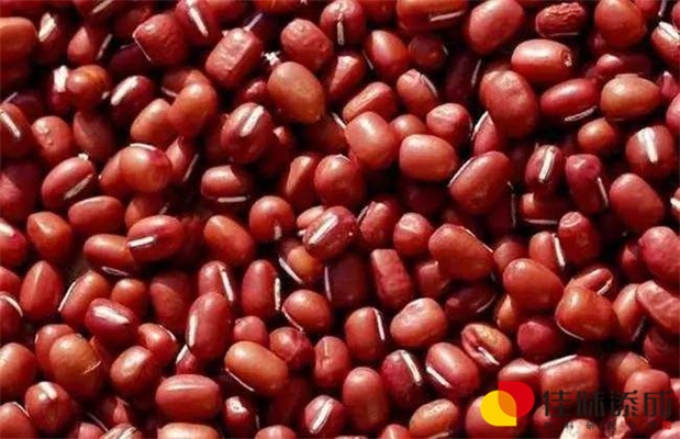 复合型越桔饮料酒配方的开发制备