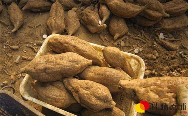 番木瓜果酒饮料配方研发中的酿制工艺