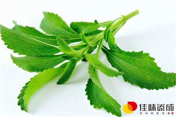 新型果蔬乳酸茵饮料配方的研发