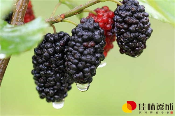 山胡桃系列纯天然保健饮料配方的开发研究