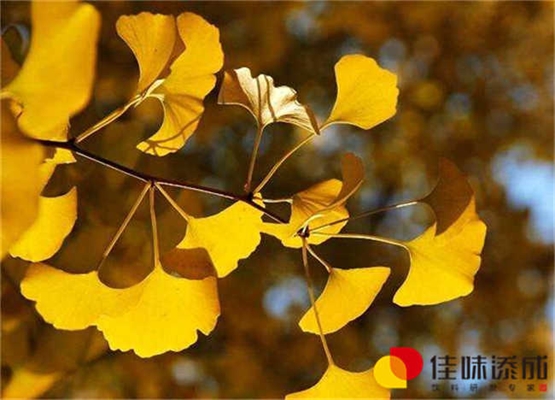 营养型绿豆爽天然饮料配方的研制