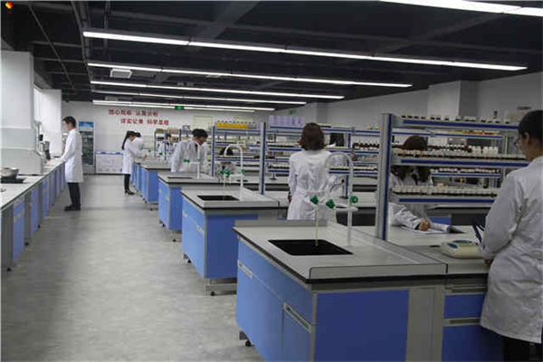 椰奶木瓜果汁复合饮料的工艺研究