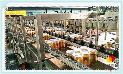 福建乳酸菌免费饮料技术配方研发