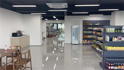 开发麦胚芦荟饮料，需要具备哪些技术能力和经验