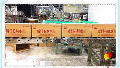 如何提高菠萝火龙果复合饮料产品的附加价值