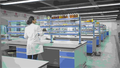 枸杞荷叶饮料研发：药食同源赛道的 3 大创新方向落地指南